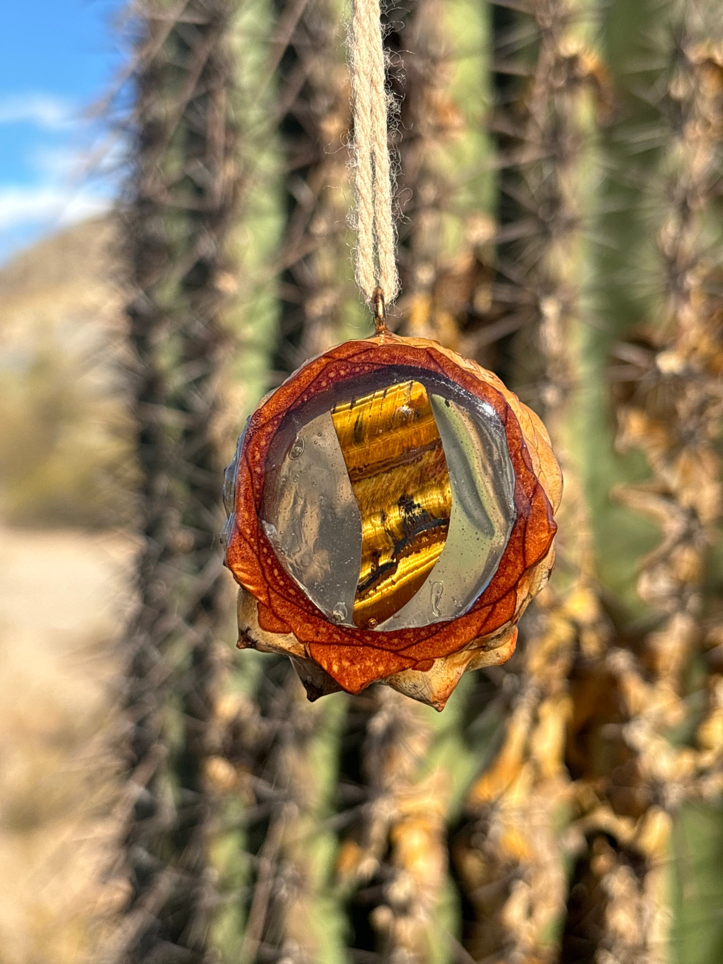 Pinecone Pendant ~ Tigers Eye "Sabertooth"